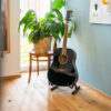 PARQUET 3LP 1S OAK IBIZA DE BRUSH OIL 5G