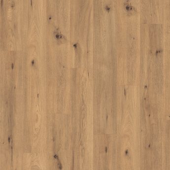 LAMINATE L182 OAK WILD NATURAL 4V 10/33 O C-it