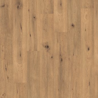 LAMINATE L182 OAK WILD NATURAL 4V 10/33 O C-it