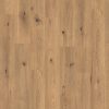 LAMINATE L182 OAK WILD NATURAL 8/31 D C-it