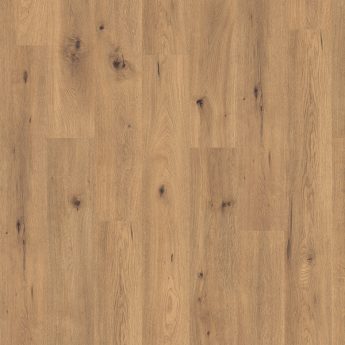 LAMINATE L182 OAK WILD NATURAL 8/31 D C-it