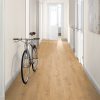 LAMINATE L1005 OAK PREDAIA HONEY 4V 8/33 O Aqua C-it