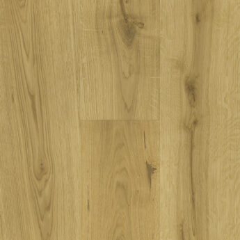 PARQUET 3LP 1S OAK WILD BRUSHED EC OIL 5G