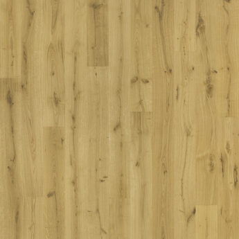 PARQUET 3LP 1S OAK WILD BRUSHED EC OIL 5G