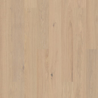 VENEERED FL OAK VIARP POWDER WHITE NATURE BRU MAT LACQ 5G Dry