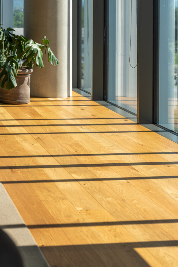 A Modern Business Building – Wood That Connects Architecture
